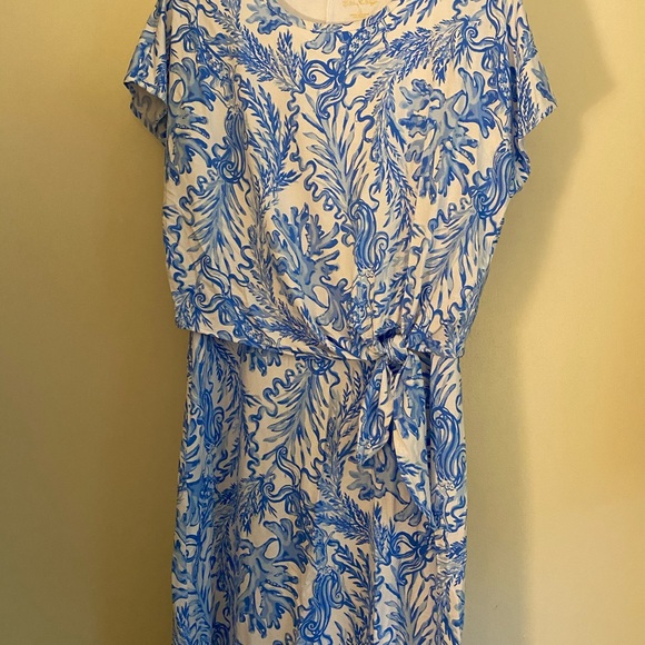 Lilly Pulitzer Inka Dress - Picture 4 of 10